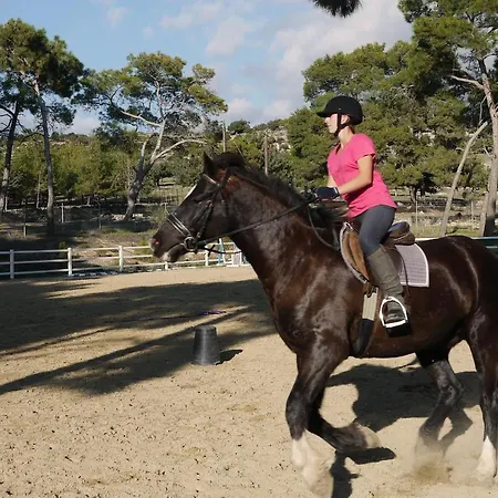 Ground Floor Anthos With Beautiful Sea Views On Aphrodite Hills Lejlighed *