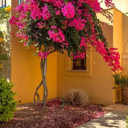 Apartament Ground Floor Anthos With Beautiful Sea Views On Aphrodite Hills Kuklia